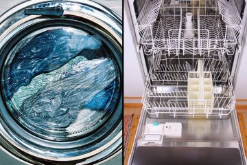 washerdishwasher